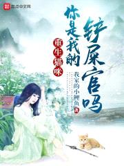 重生猫咪:你是我的铲屎官吗?